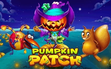 pumpkin-patch